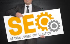 網站seo優化,為什么新站做SEO優···